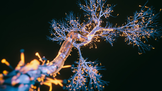 Good Practices: Enhancing Brain Health – biological research ...